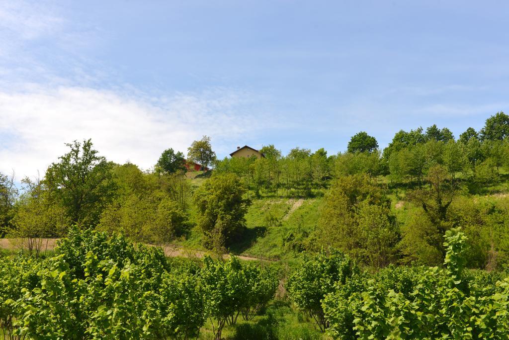 Casa Vacanze Il Brichet Mondovì Szoba fotó